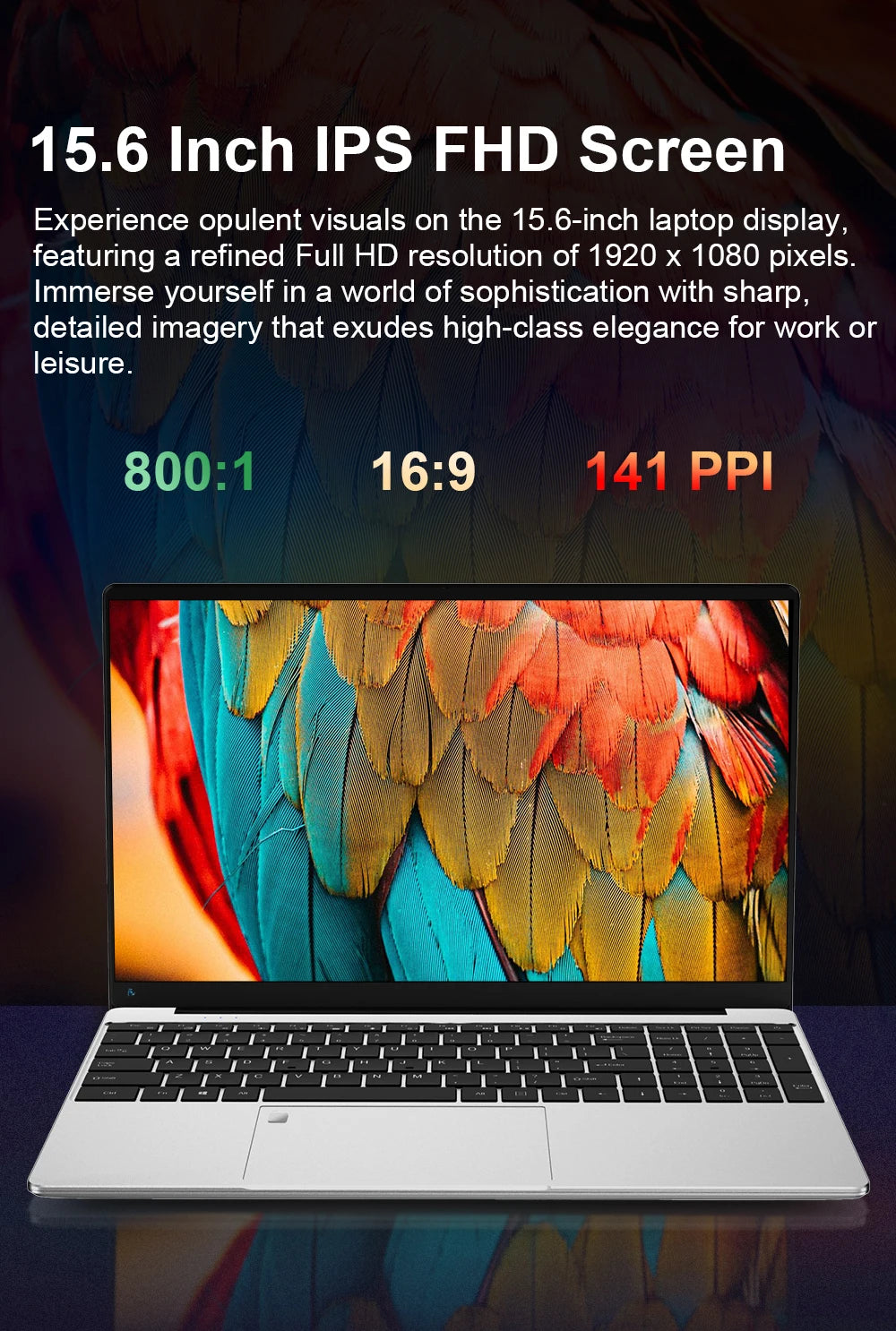 Intel Notebook PC Gamer 15.6" Ultra Slim Laptop Intel Celeron N4000 16GB RAM 1TB 2TB SSD Office Study Computer PC Windows 11 Pro