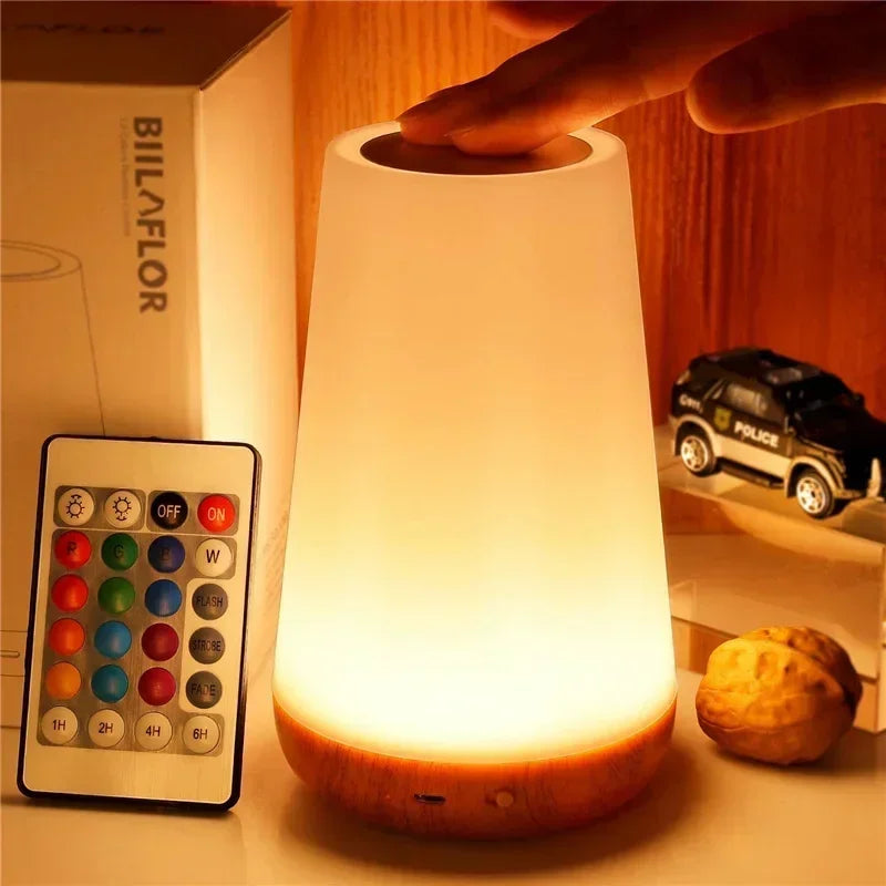 Light RGB 13 Color Changing Night  Remote Control Touch Dimmable Lamp Portable Table Bedside Lamps USB Rechargeable Night Lamp