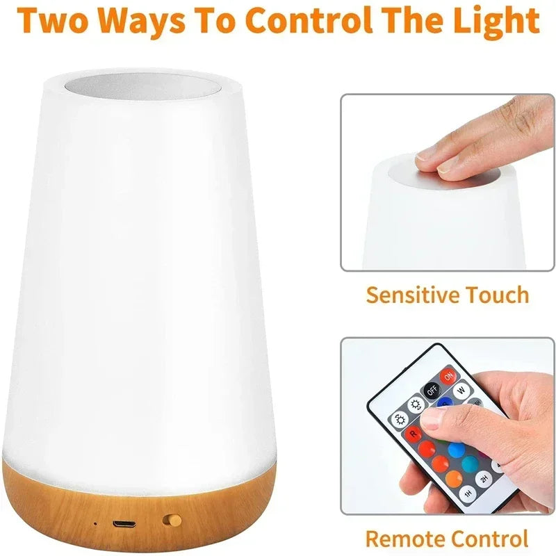 Light RGB 13 Color Changing Night  Remote Control Touch Dimmable Lamp Portable Table Bedside Lamps USB Rechargeable Night Lamp